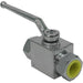 Ball Valve: Steel - Sewershop
